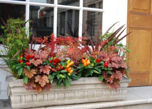 творческий потенциал