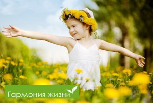 гармония жизни