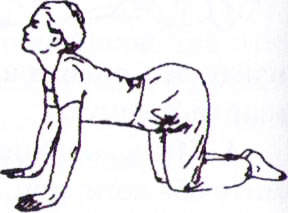 8-poza-korova поза корова