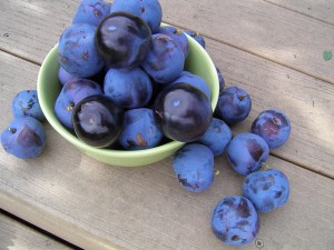 сказка Король и сливы