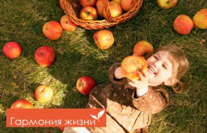 гармония жизни вк