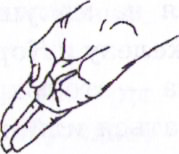 будхи мудра